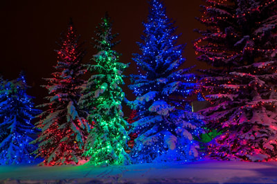 Christmas lights, holiday lights, design and installation on house, home, business, Christmas trees, Christmas decorations, holiday lighting