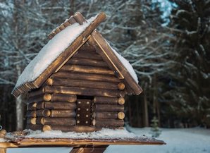 Cottage winterizing, Cottage plumbing and water system winterizing, dock and boat removal, cottage winter inspections and roof snow removal, property maintenance, tree services