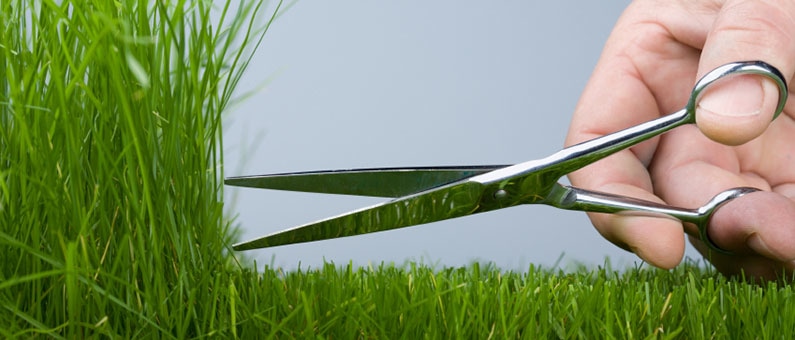 Grass cutting tips