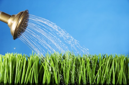 Lawn watering tips